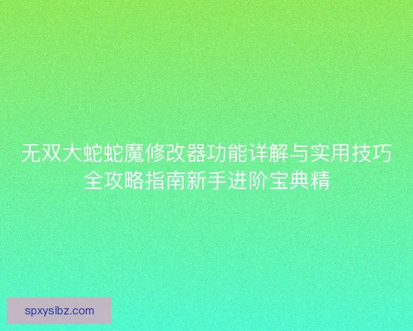无双大蛇蛇魔修改器功能详解与实用技巧全攻略指南新手进阶宝典精