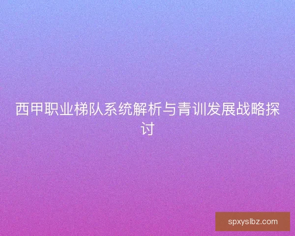 西甲职业梯队系统解析与青训发展战略探讨