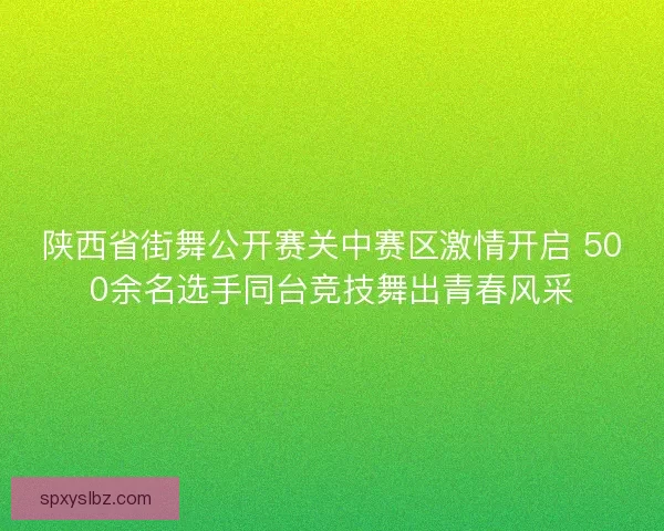 陕西省街舞公开赛关中赛区激情开启 500余名选手同台竞技舞出青春风采
